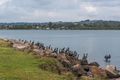 Property photo of 2 Waterview Crescent Bli Bli QLD 4560