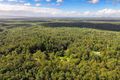 Property photo of 349 Ringtail Creek Road Ringtail Creek QLD 4565
