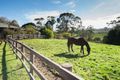 Property photo of 470 Timboon-Curdievale Road Timboon VIC 3268
