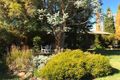 Property photo of 28 Jindabyne Road Berridale NSW 2628