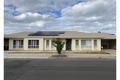 Property photo of 17 Chambers Avenue Richmond SA 5033