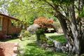 Property photo of 323 Bourke Street Glen Innes NSW 2370