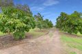 Property photo of 33913 Bruce Highway Drinan QLD 4671