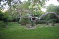 Property photo of 8 Kevin Avenue Avalon Beach NSW 2107