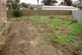 Property photo of 44 Payton Street Canley Vale NSW 2166