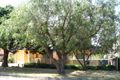 Property photo of 1/10-12 Evelyn Street North Sylvania NSW 2224
