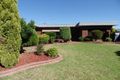 Property photo of 99 Hassett Street Shepparton VIC 3630