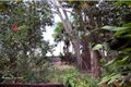 Property photo of 197-201 O'Shea Esplanade Machans Beach QLD 4878