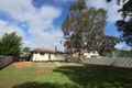 Property photo of 56 Hough Street Narrogin WA 6312