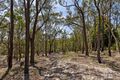Property photo of 31 Bellevue Road Faulconbridge NSW 2776