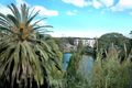 Property photo of 14/38B Ewart Street Marrickville NSW 2204
