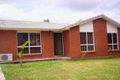 Property photo of 3 Bottlebrush Crescent Redbank Plains QLD 4301