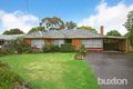 Property photo of 14 Gardenia Crescent Cheltenham VIC 3192