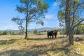 Property photo of 685 Standen Drive Lower Belford NSW 2335