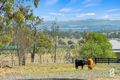 Property photo of 685 Standen Drive Lower Belford NSW 2335