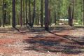 Property photo of 133 Pine Ridge Road Glenwood QLD 4570