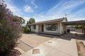 Property photo of 28 Noll Street Risdon Park South SA 5540