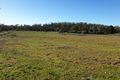 Property photo of 10136 Tasman Highway Little Swanport TAS 7190