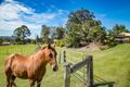 Property photo of 48 Hazelwood Drive Pottsville NSW 2489