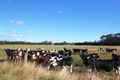 Property photo of 177 Irishtown Road Smithton TAS 7330