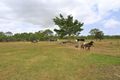 Property photo of 98 Blairs Road Sharon QLD 4670