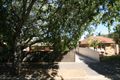 Property photo of 49 Ayers Avenue Daw Park SA 5041
