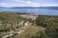Property photo of 441 Tinderbox Road Tinderbox TAS 7054