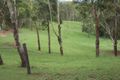 Property photo of 874 McIntosh Creek Road Calico Creek QLD 4570