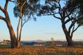 Property photo of 51 Limb Circuit Moncrieff ACT 2914