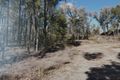 Property photo of 1094B Wallangra Road Wallangra NSW 2360