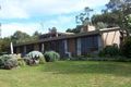 Property photo of 15 Ocean View Avenue Red Hill South VIC 3937