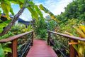 Property photo of 15 Macalister Place Smithfield QLD 4878