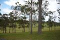 Property photo of 121 Shadbolt Road Mothar Mountain QLD 4570