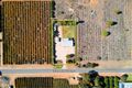 Property photo of 479 Chowilla Street Renmark West SA 5341