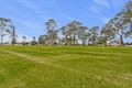 Property photo of 1 White Avenue Lockleys SA 5032