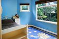 Property photo of 36 Kitchener Street Balgowlah NSW 2093