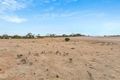 Property photo of 545 Davies Road Halbury SA 5461