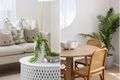 Property photo of 10/11 Rickard Street Balgowlah NSW 2093