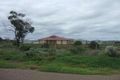 Property photo of 13 Landrace Road Mullaquana SA 5608