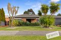 Property photo of 3 Celestine Court Narre Warren VIC 3805