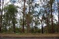 Property photo of 24A Penelope Drive Cornubia QLD 4130
