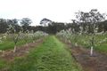 Property photo of 135 Peacock Track Lillicur VIC 3371