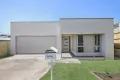 Property photo of 6 Denali Street Holmview QLD 4207