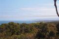 Property photo of 31 Second Avenue Anglesea VIC 3230