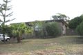 Property photo of 23 Marilyn Crescent Tumbi Umbi NSW 2261