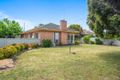 Property photo of 12 Amos Avenue Benalla VIC 3672