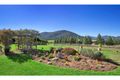 Property photo of 242 Catherine Way Daruka NSW 2340