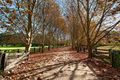 Property photo of 83 Finns Road Kulnura NSW 2250
