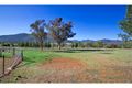 Property photo of 242 Catherine Way Daruka NSW 2340