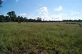 Property photo of 509 Retreat Road Dyrring NSW 2330